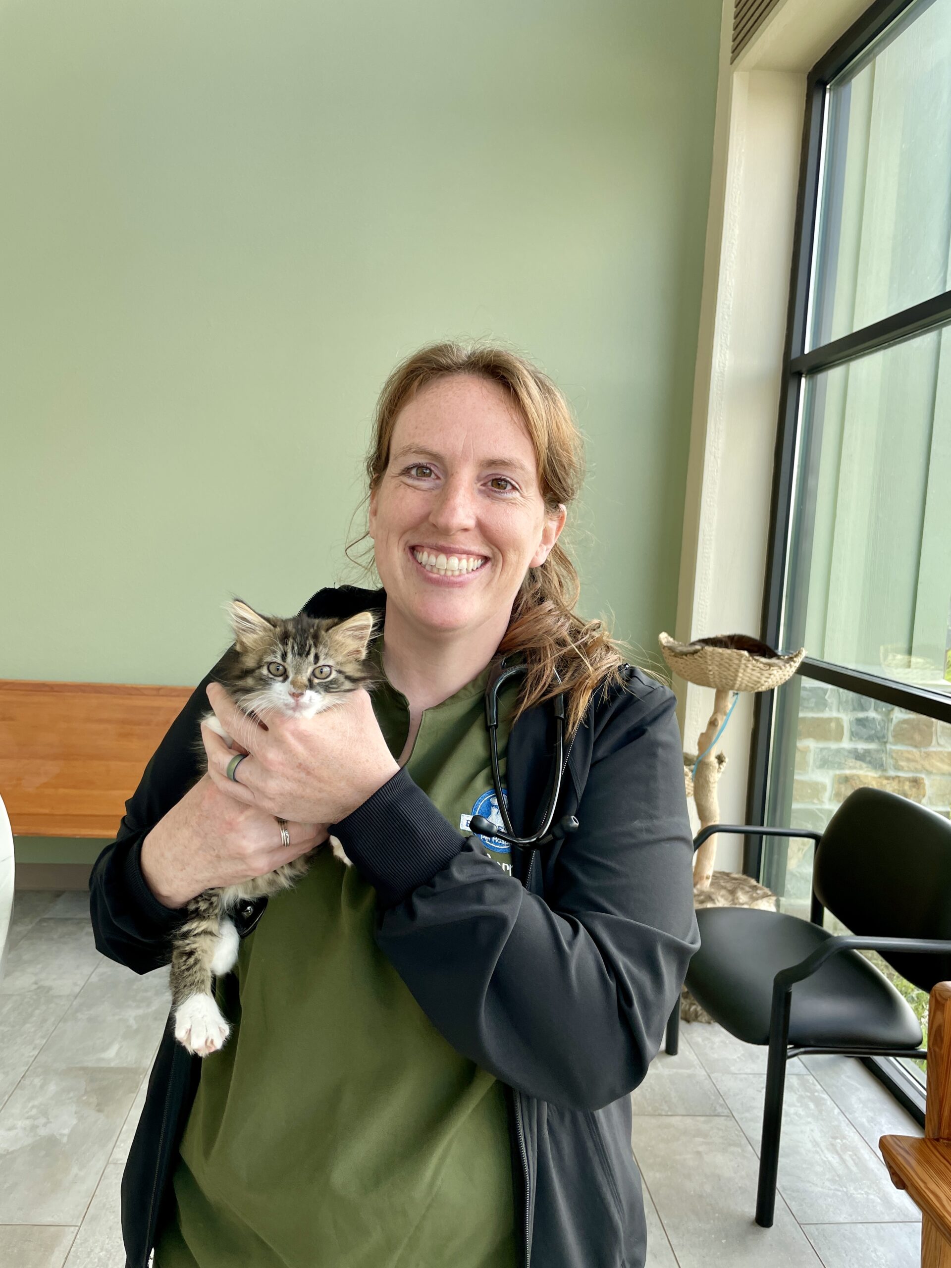 A veterinary professional holding a rescued kitten